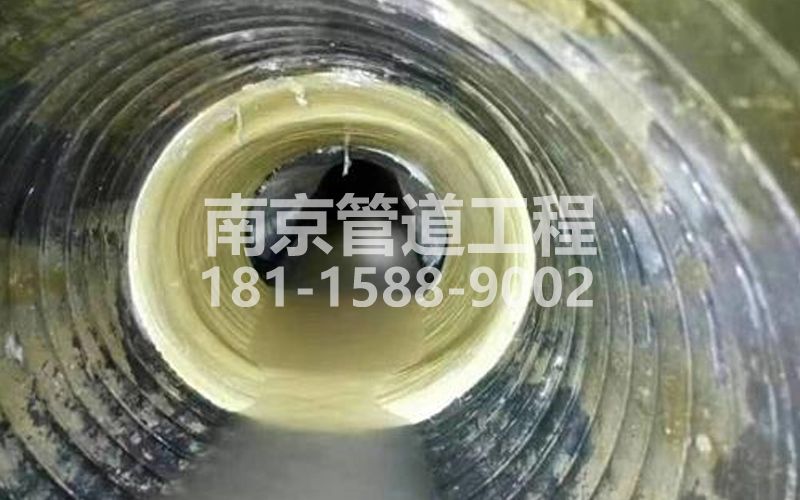 226玄武湖树脂修复